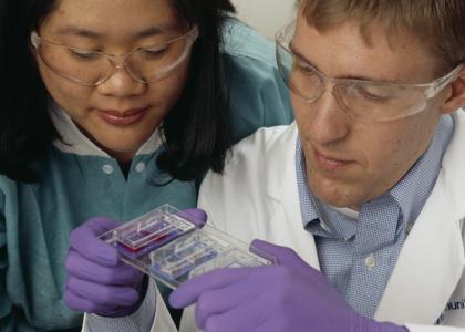 Two scientists studying slides